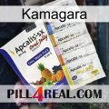 Kamagara 11